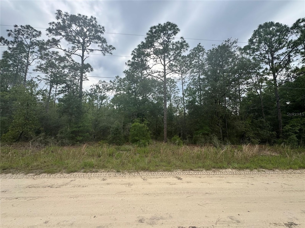 TBD Sw 159 Court, Ocala, FL 34481