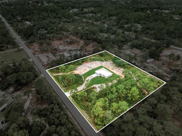9131 Canter Path, Sebring, FL 33870 - view of property location with property parcel outlined and a forest