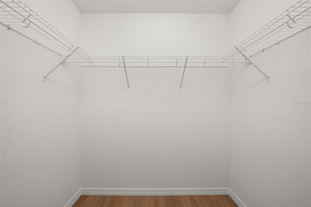 9131 Canter Path, Sebring, FL 33870 - spacious closet with wood finished floors