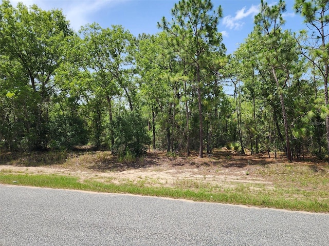 Oak Cir, Ocala, FL 34472