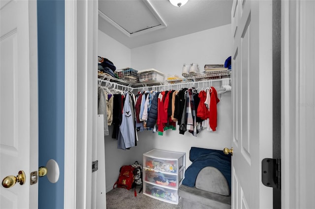 2263 Moines Ct, Dunnellon, FL 34431 - spacious closet featuring attic access and carpet floors