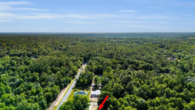 2263 Moines Ct, Dunnellon, FL 34431 - aerial view of a forest
