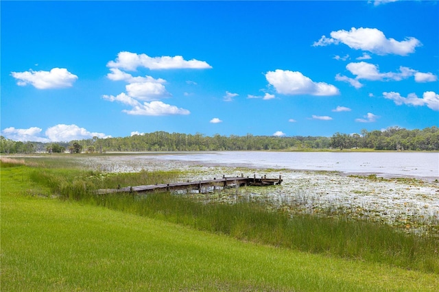 3000 Pine Grove Ln, Lady Lake, FL 32159 - photo 36