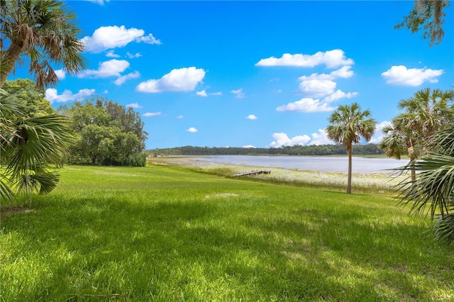 3000 Pine Grove Ln, Lady Lake, FL 32159 - photo 4