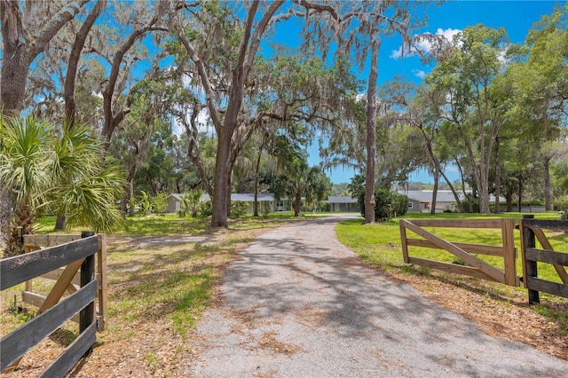 3000 Pine Grove Ln, Lady Lake, FL 32159 - photo 6