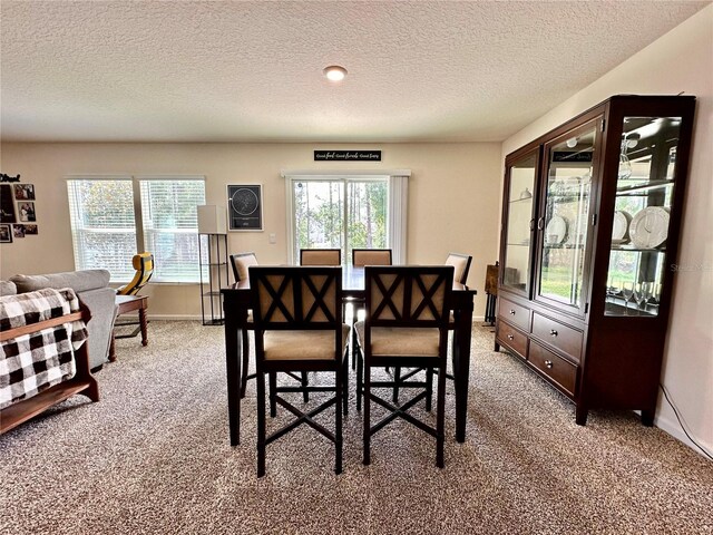 100 Ryan Dr, Palm Coast, FL 32164 - photo 10