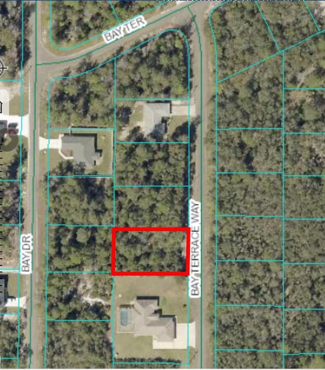 00 Bay Terrace Way Lot 6, Ocklawaha, FL 32179