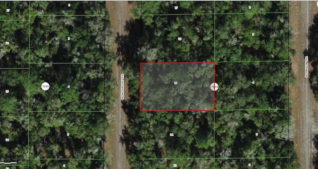 9381 N Sagamore Ter, Dunnellon, FL 34434