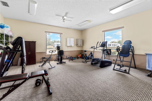 10210 SW 93rd Ave, Ocala, FL 34481 - workout area featuring plenty of natural light, carpet floors, a ceiling fan, and a textured ceiling
