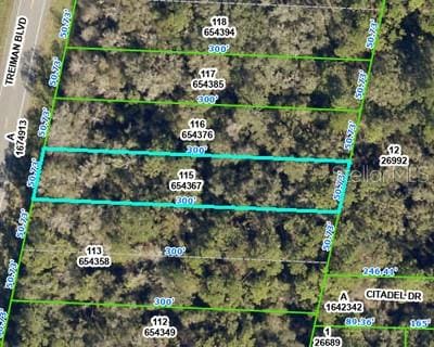 8388 Treiman Blvd, Webster, FL 33597 - photo 1