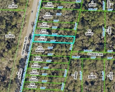 8388 Treiman Blvd, Webster, FL 33597 - photo 2