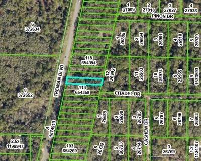 8388 Treiman Blvd, Webster, FL 33597 - photo 3