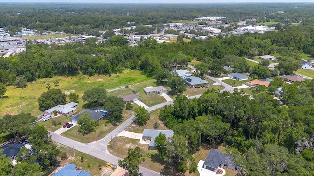 11645 Mallard Ct, Dunnellon, FL 34432 - photo 5