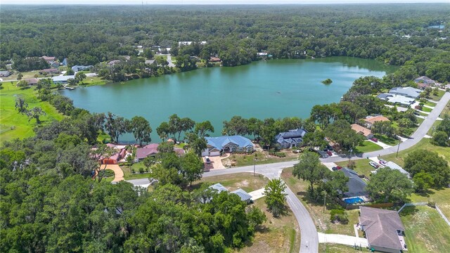 11645 Mallard Ct, Dunnellon, FL 34432 - photo 7