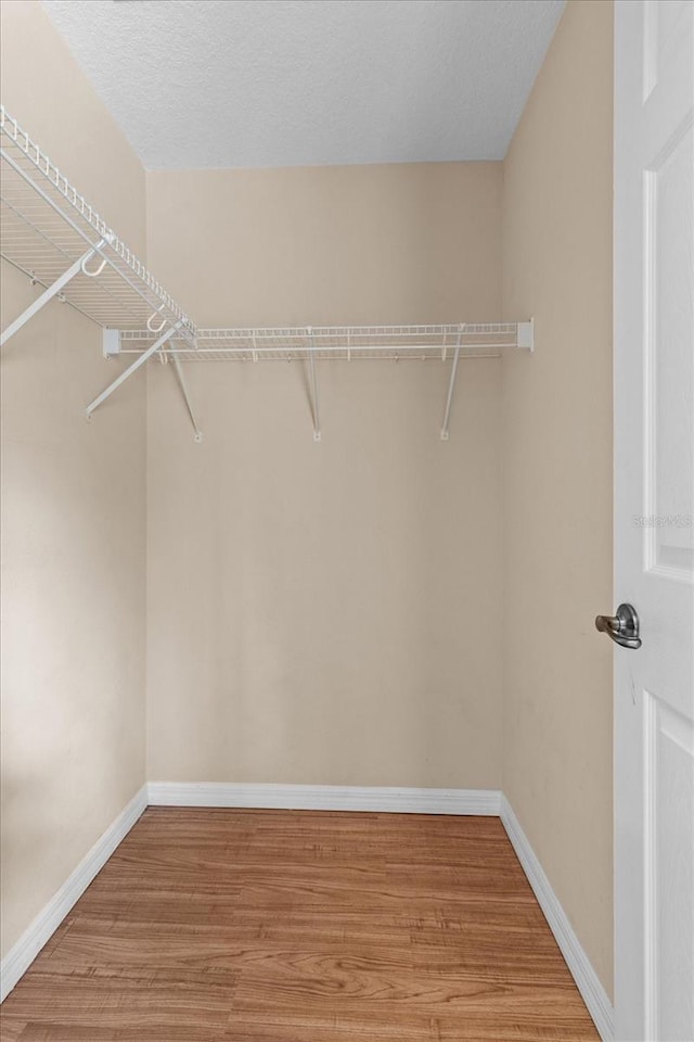 23340 NW Columbine Ave, Dunnellon, FL 34431 - walk in closet featuring light wood-type flooring