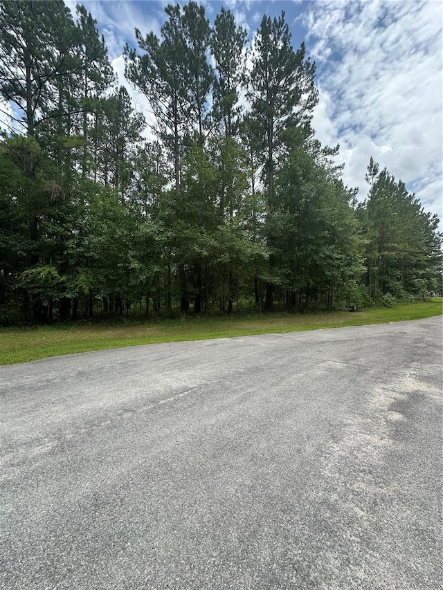 NW 141st Ave, Williston, FL 32696 - photo 2