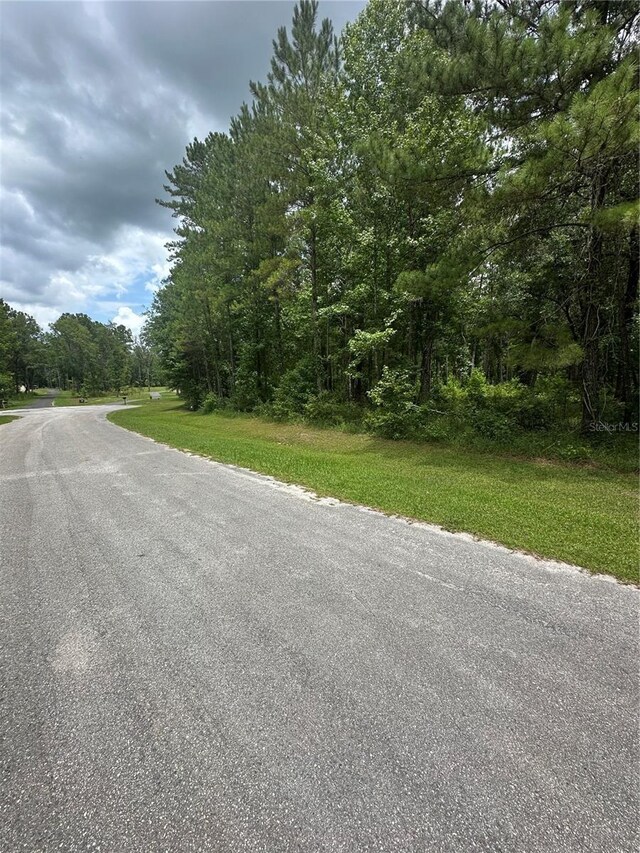NW 141st Ave, Williston, FL 32696 - photo 4