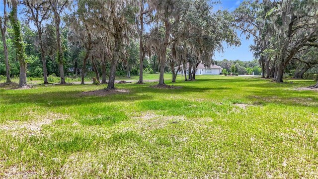 15620 NW 112th Ave, Reddick, FL 32686 - photo 83