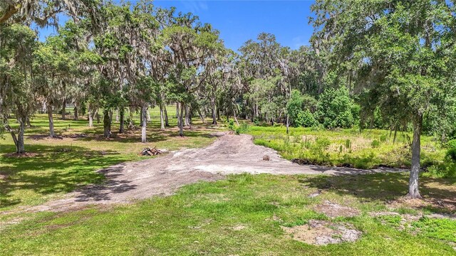 15620 NW 112th Ave, Reddick, FL 32686 - photo 84