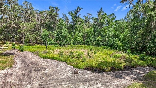 15620 NW 112th Ave, Reddick, FL 32686 - photo 85