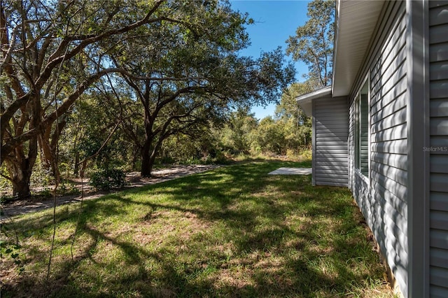 17009 SE 60th St, Ocklawaha, FL 32179 - photo 11