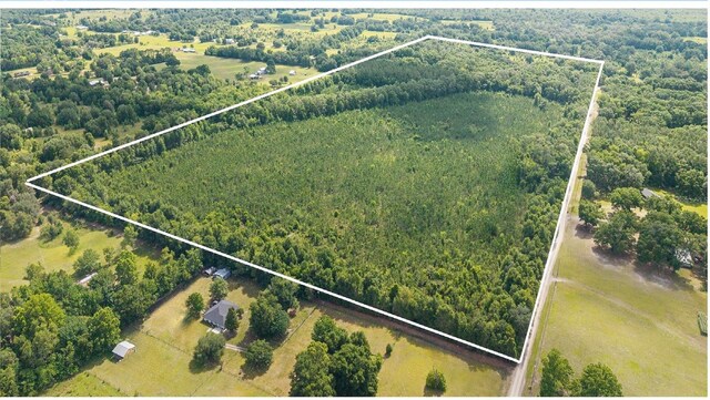 15422 SW 50th Ave, Archer, FL 32618 - photo 3