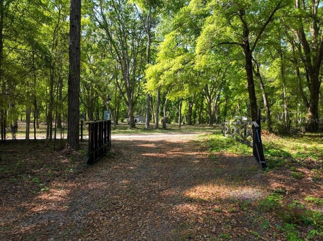 15422 SW 50th Ave, Archer, FL 32618 - photo 4
