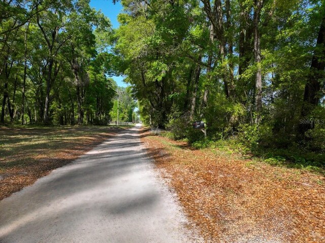 15422 SW 50th Ave, Archer, FL 32618 - photo 7