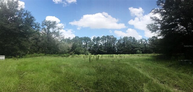 15422 SW 50th Ave, Archer, FL 32618 - photo 9