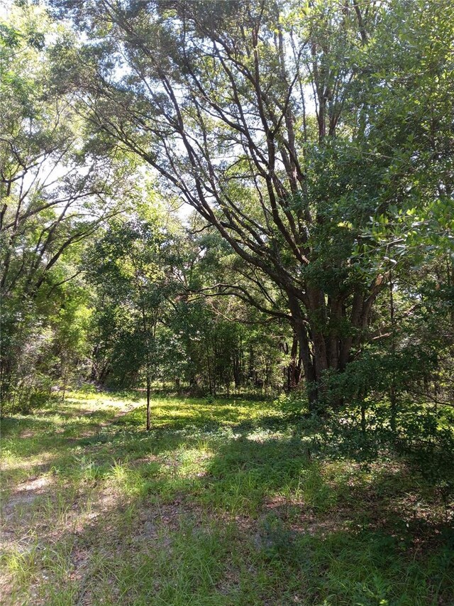 15422 SW 50th Ave, Archer, FL 32618 - photo 10