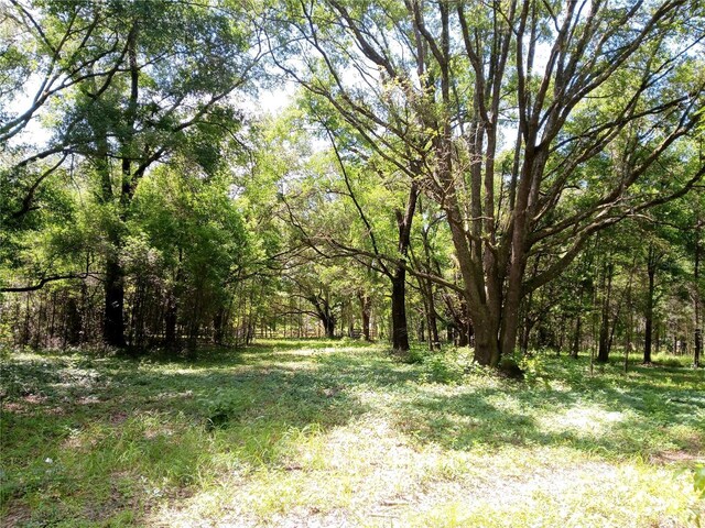 15422 SW 50th Ave, Archer, FL 32618 - photo 11