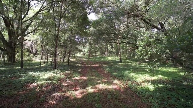 15422 SW 50th Ave, Archer, FL 32618 - photo 14