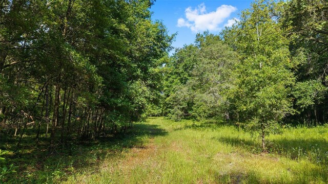 15422 SW 50th Ave, Archer, FL 32618 - photo 16
