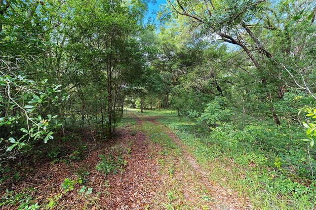 15422 SW 50th Ave, Archer, FL 32618 - photo 17