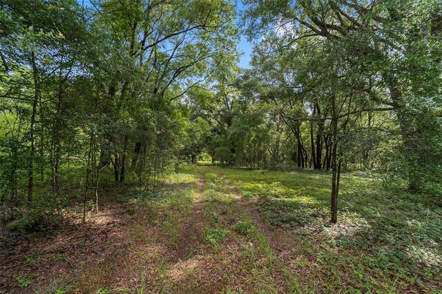 15422 SW 50th Ave, Archer, FL 32618 - photo 18