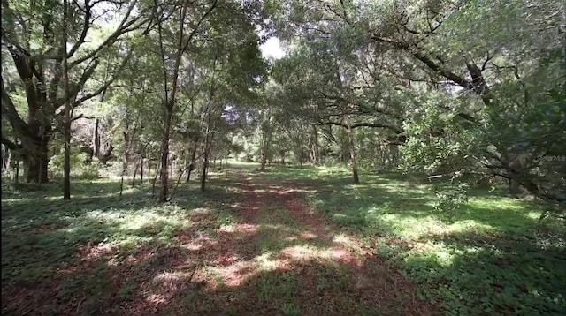 15422 SW 50th Ave, Archer, FL 32618 - photo 20