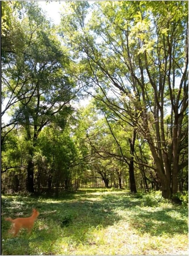 15422 SW 50th Ave, Archer, FL 32618 - photo 21