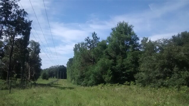 15422 SW 50th Ave, Archer, FL 32618 - photo 23