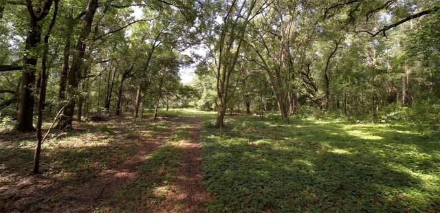 15422 SW 50th Ave, Archer, FL 32618 - photo 24
