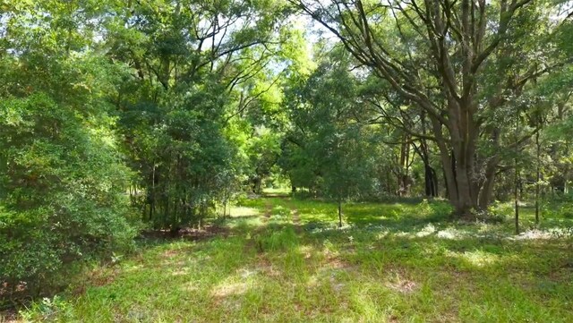 15422 SW 50th Ave, Archer, FL 32618 - photo 25