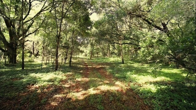 15422 SW 50th Ave, Archer, FL 32618 - photo 26