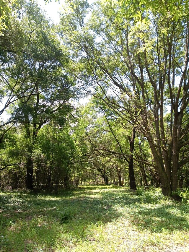 15422 SW 50th Ave, Archer, FL 32618 - photo 27
