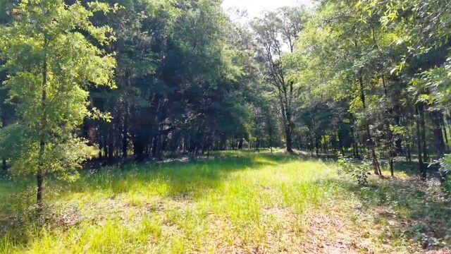 15422 SW 50th Ave, Archer, FL 32618 - photo 28
