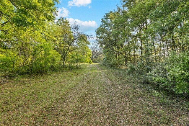 15422 SW 50th Ave, Archer, FL 32618 - photo 30