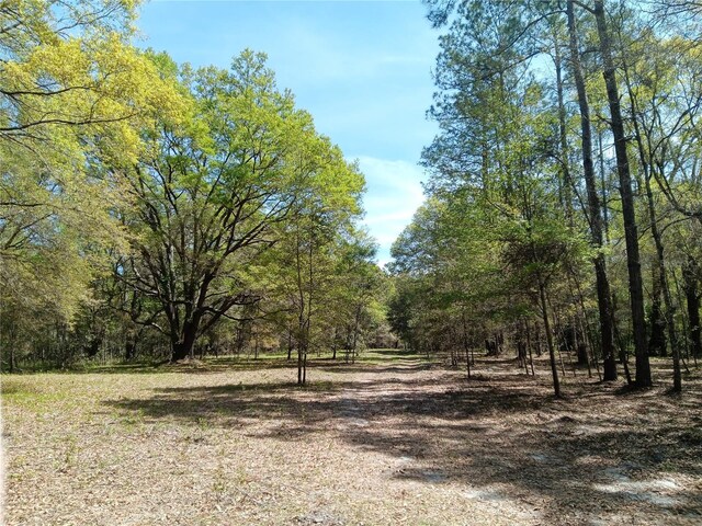 15422 SW 50th Ave, Archer, FL 32618 - photo 31