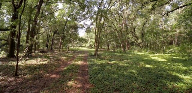 15422 SW 50th Ave, Archer, FL 32618 - photo 32
