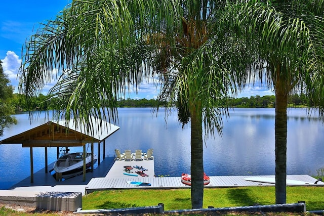 10893 SE 141 Avenue Rd, Ocklawaha, FL 32179 - photo 25