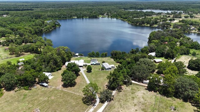10893 SE 141 Avenue Rd, Ocklawaha, FL 32179 - photo 38