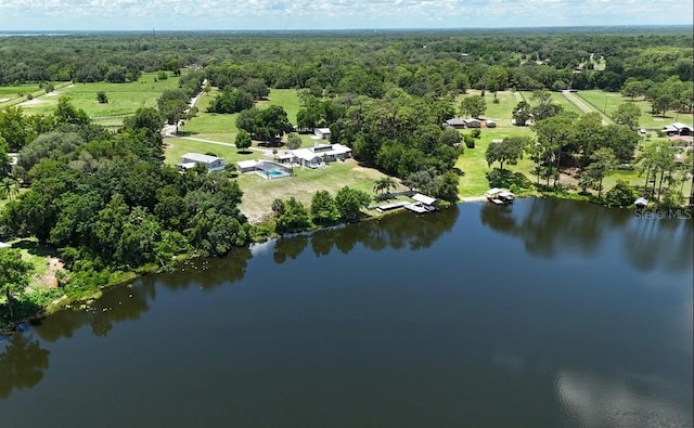 10893 SE 141 Avenue Rd, Ocklawaha, FL 32179 - photo 40