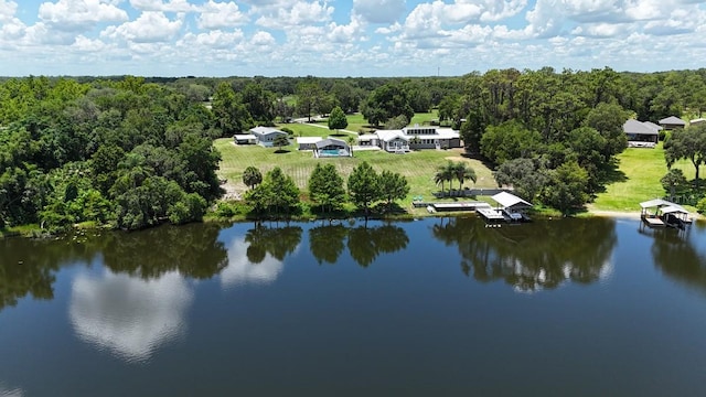 10893 SE 141 Avenue Rd, Ocklawaha, FL 32179 - photo 41